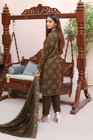 SW 204 Unstitched - Aseer.Pk | Where Every Outfit, a Masterpiece.