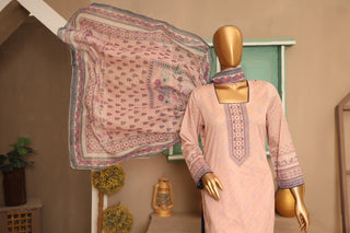 ASP 114 stitched - Aseer.Pk | Where Every Outfit, a Masterpiece.