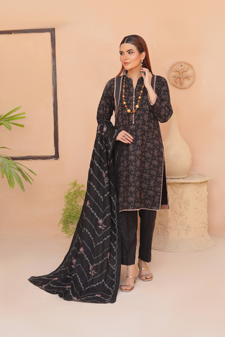 Sw 501 Stitched - Aseer.Pk | Where Every Outfit, a Masterpiece.