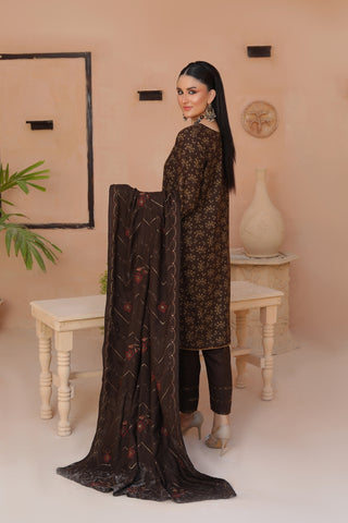 SW 504 - Aseer.Pk | Where Every Outfit, a Masterpiece.